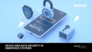 Device and Data Security in the Embedded Systems