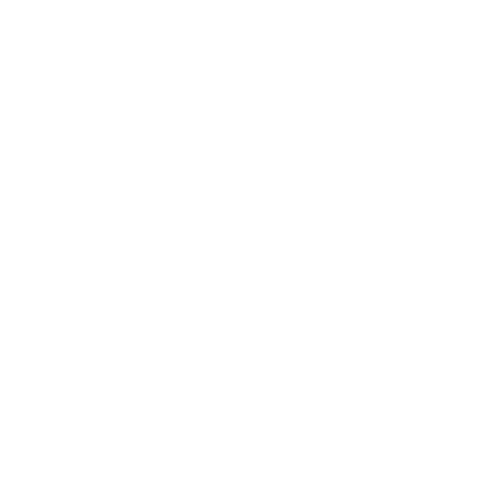 MosChip®_Intell'AI'gence_use case_Real-Time Vehicle_Classification